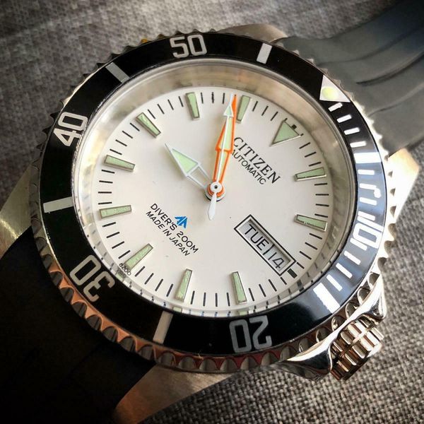 citizen promaster white dial