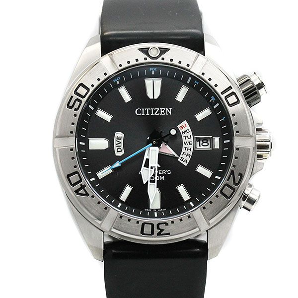 Citizen Citizen Promaster Day Date H112T016651 Men