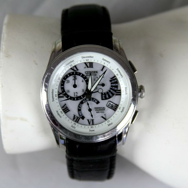 Citizen E870S015324 HST EcoDrive Calibre 8700 Men's Watch EXTREMELY