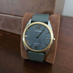 CITIZEN Eco-Drive E010-H29875 Ladies display picture 1