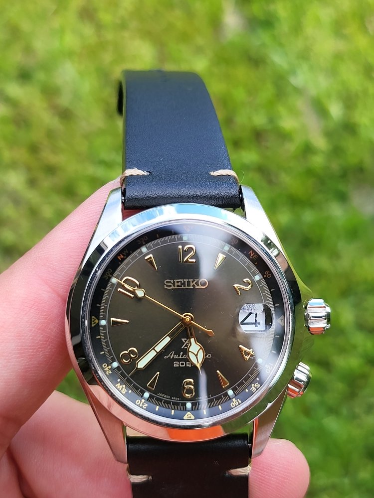 Seiko Alpinist SBDC135 | WatchCharts Marketplace