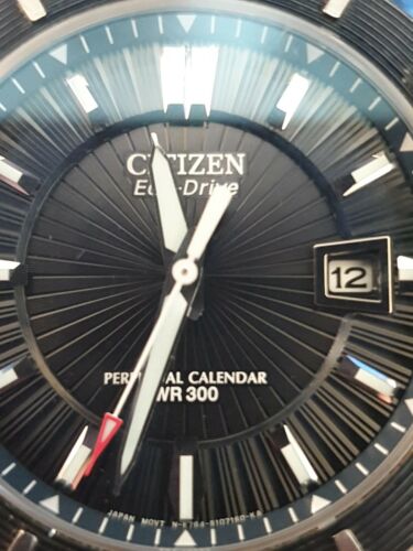 Citizen eco drive perpetual clearance calendar wr300