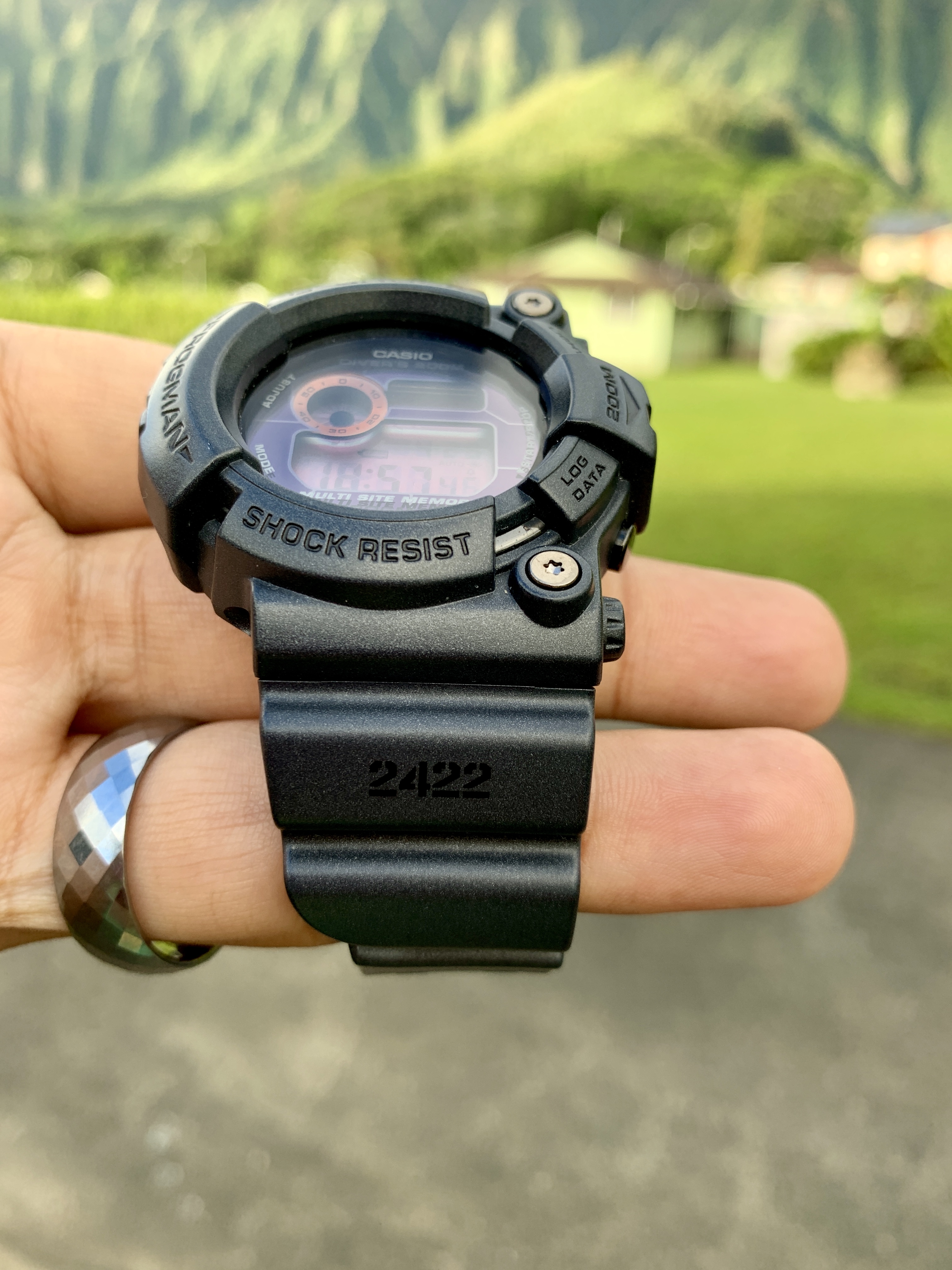 frogman gw200ms