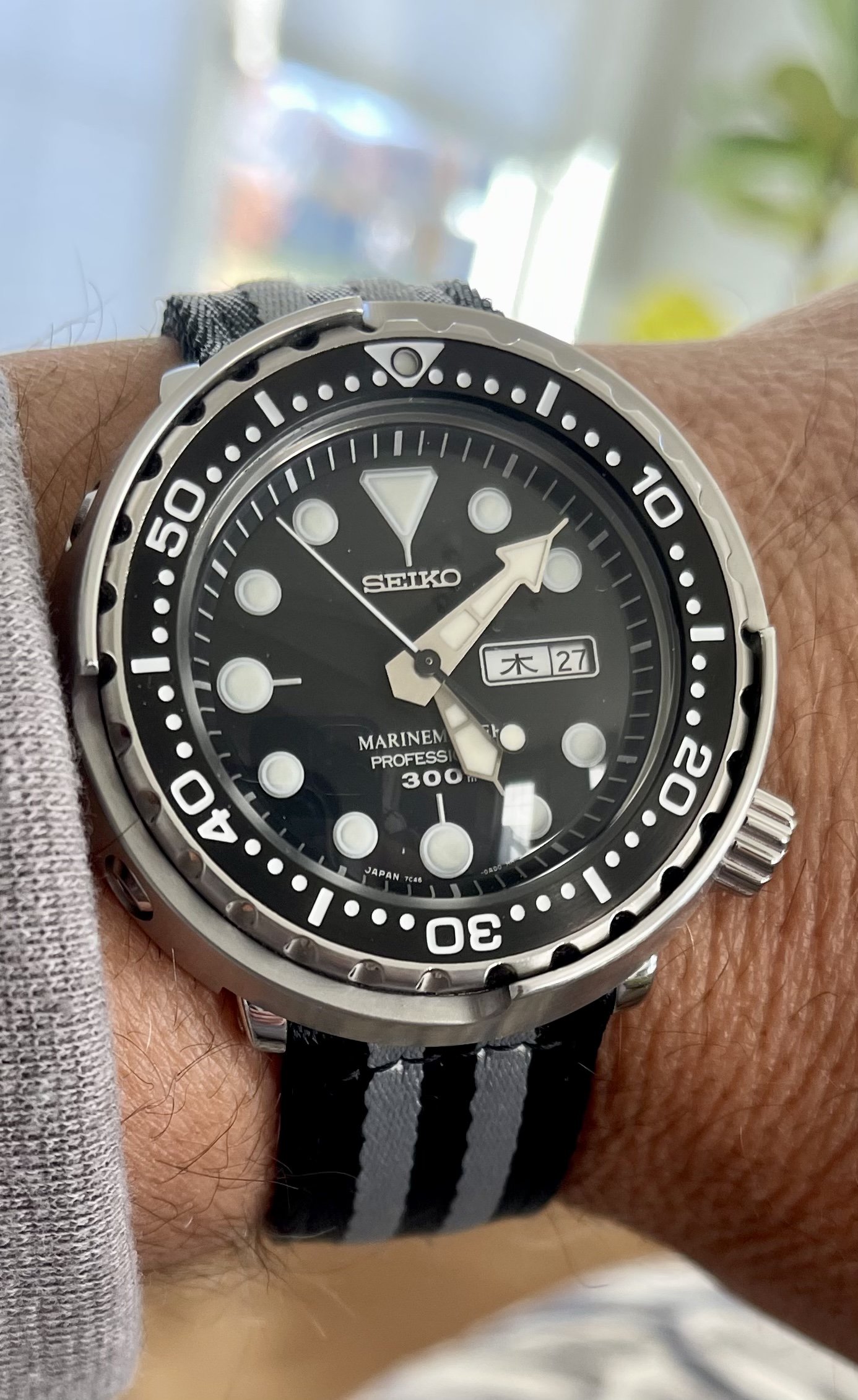 Seiko sbbn online