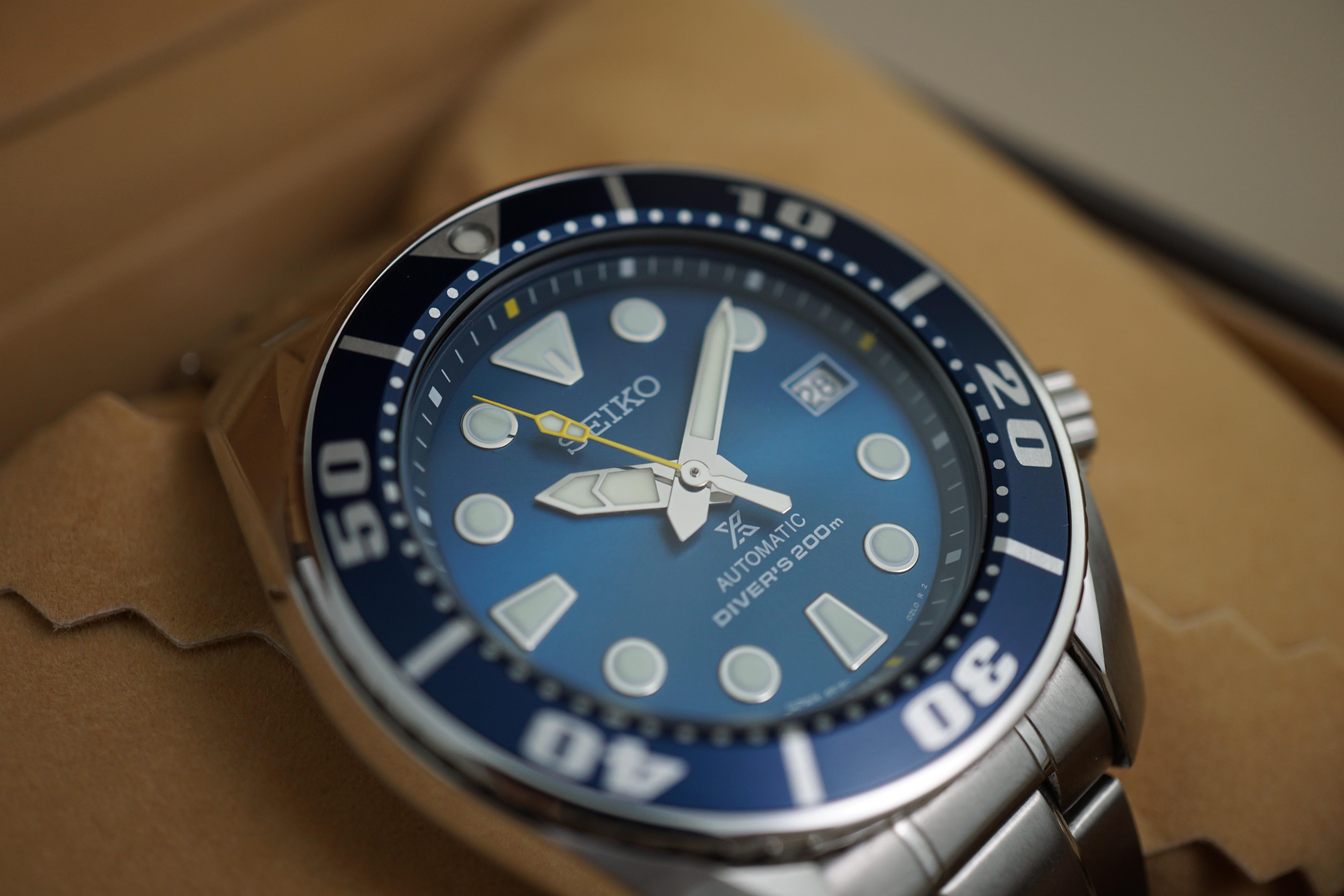 Seiko sumo hot sale blue coral