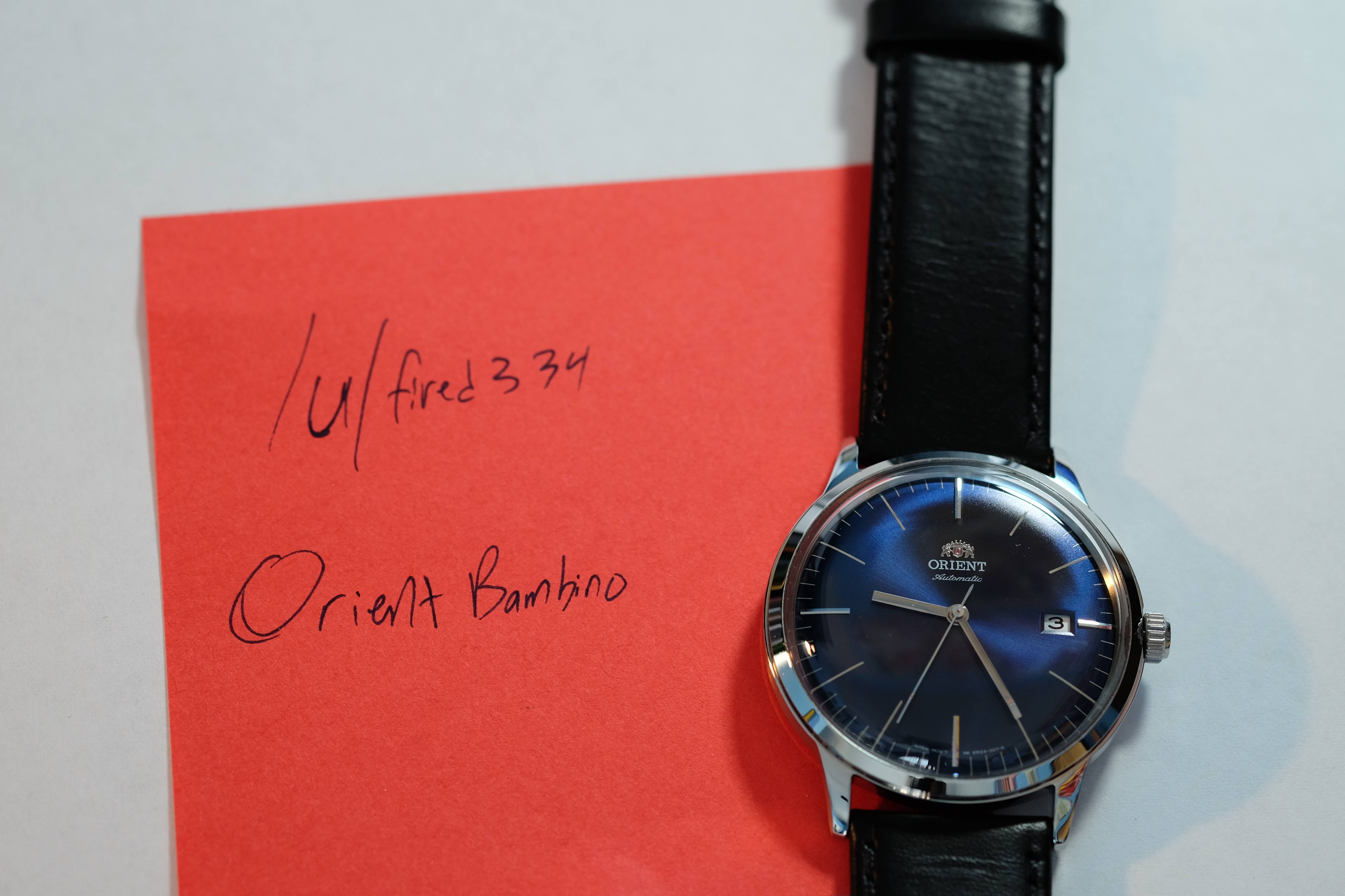 Orient bambino outlet v3 blue