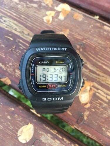 casio dw310