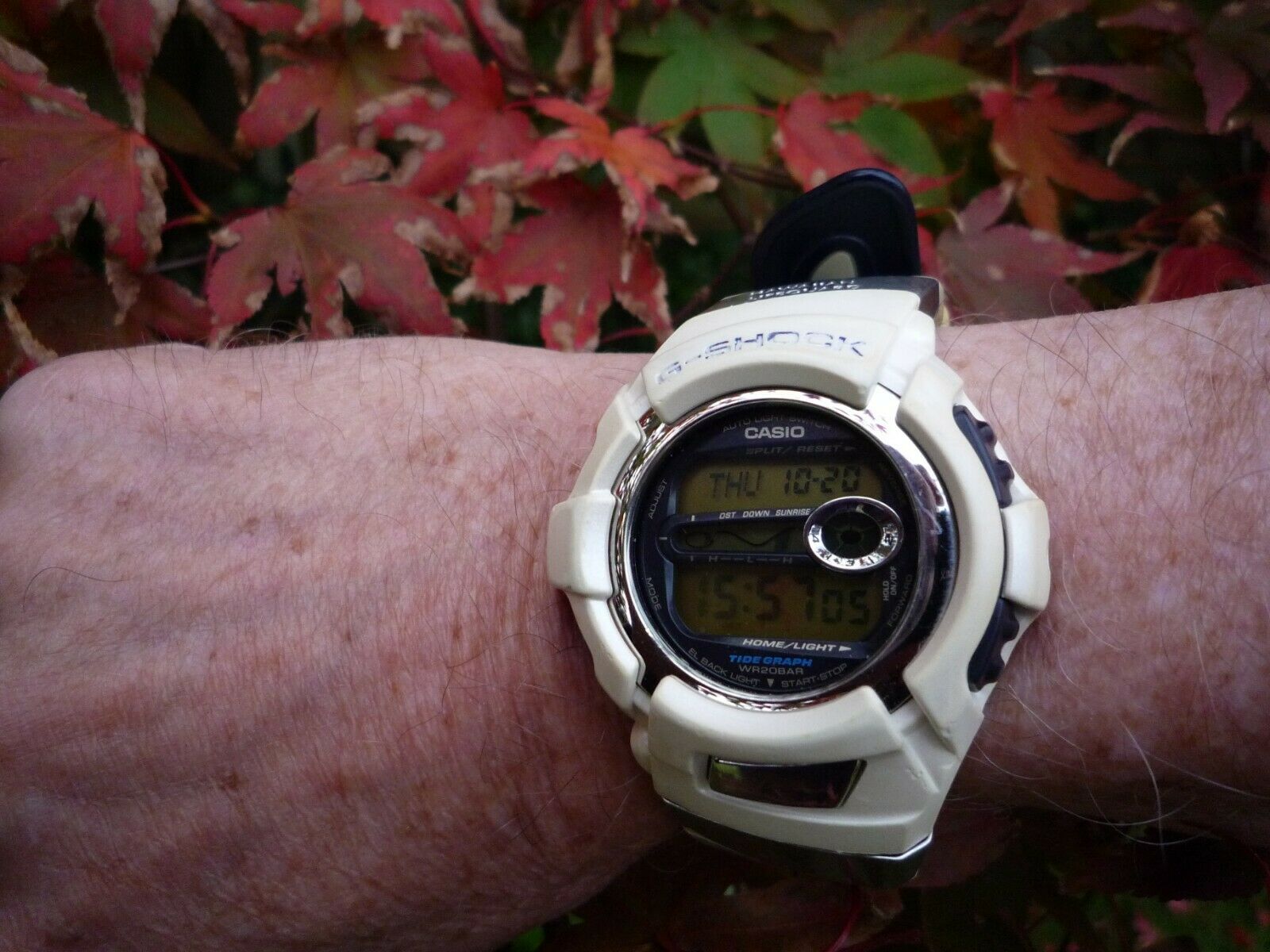 Casio G Shock DWX-110US. Hawaiian Lifeguard Association. Used. |  WatchCharts Marketplace