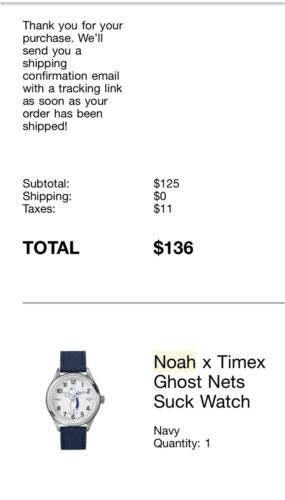 Noah x timex online ghost nets suck watch