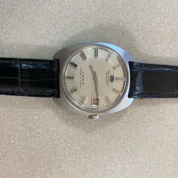 Rare vintage mechanical SEAGULL 29 Jewel ST5-D date Automatic mens ...