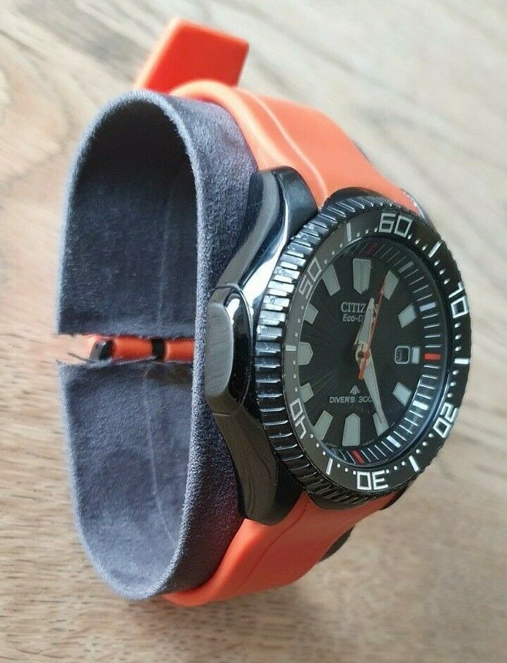 citizen wr300