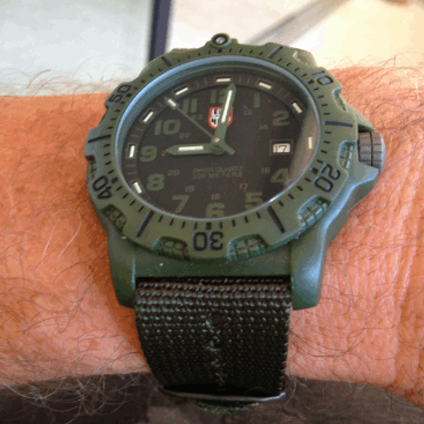 FS Luminox Series 8800 WatchCharts