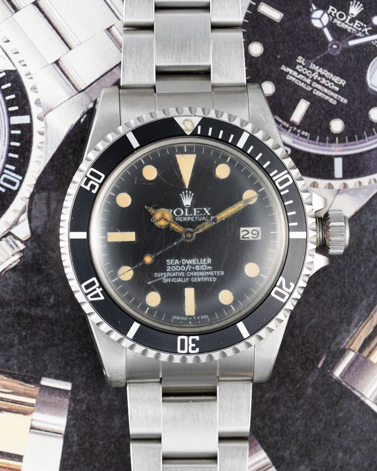 Rolex sea shop dweller great white