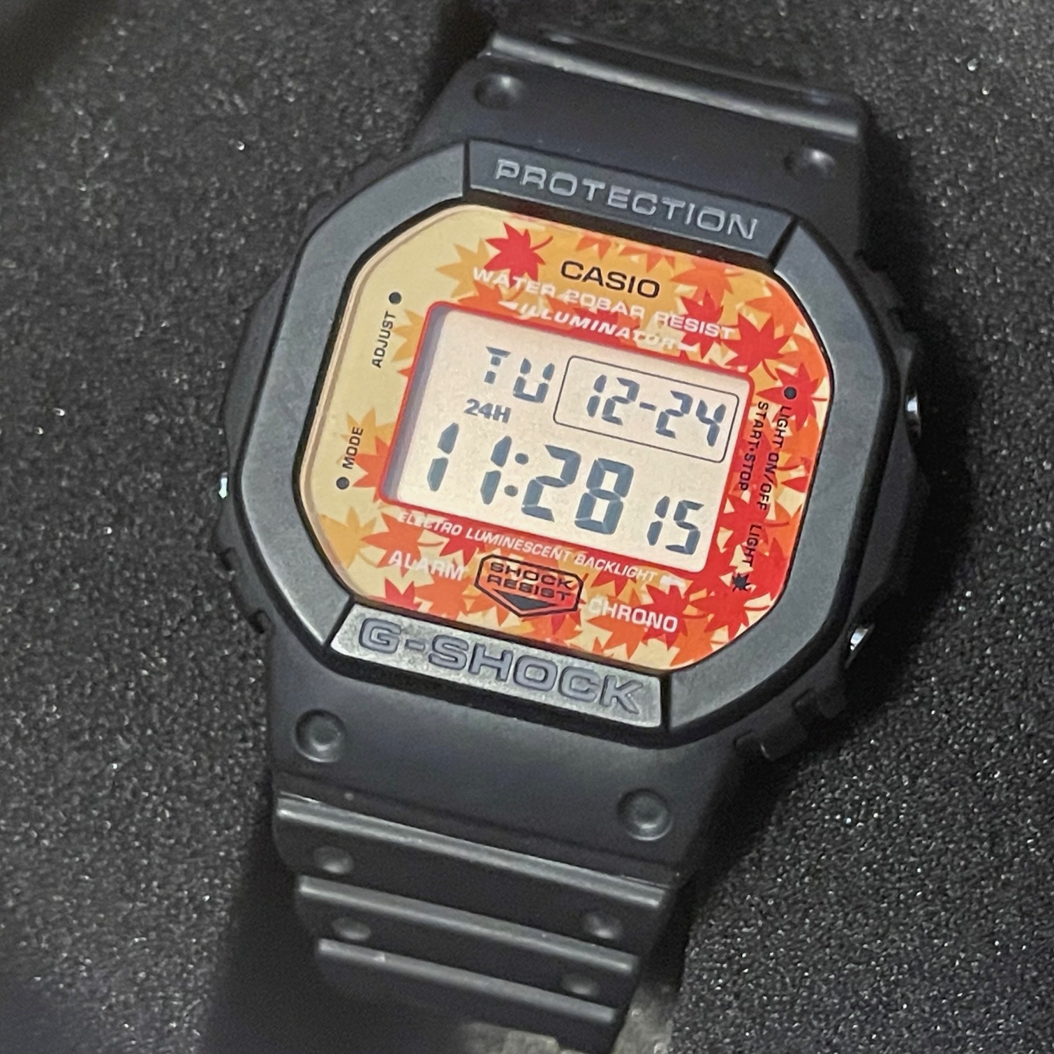 Casio G-Shock (DW560)