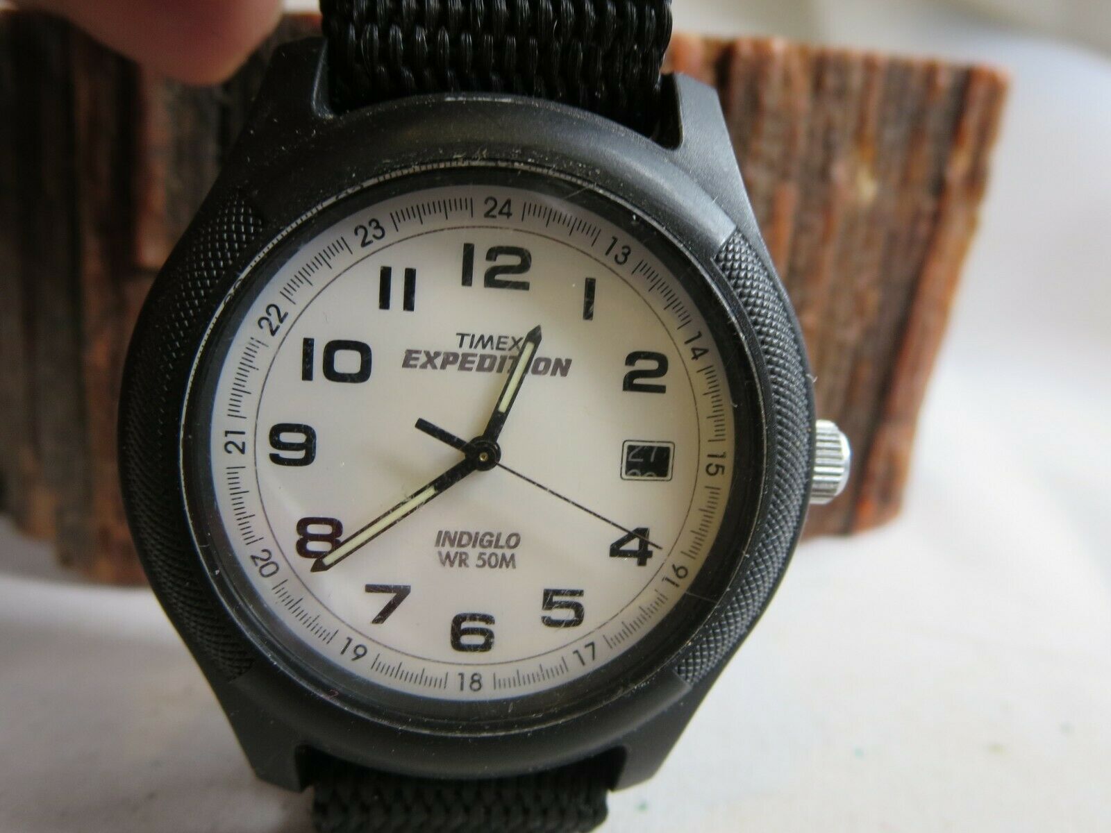 timex expedition white face