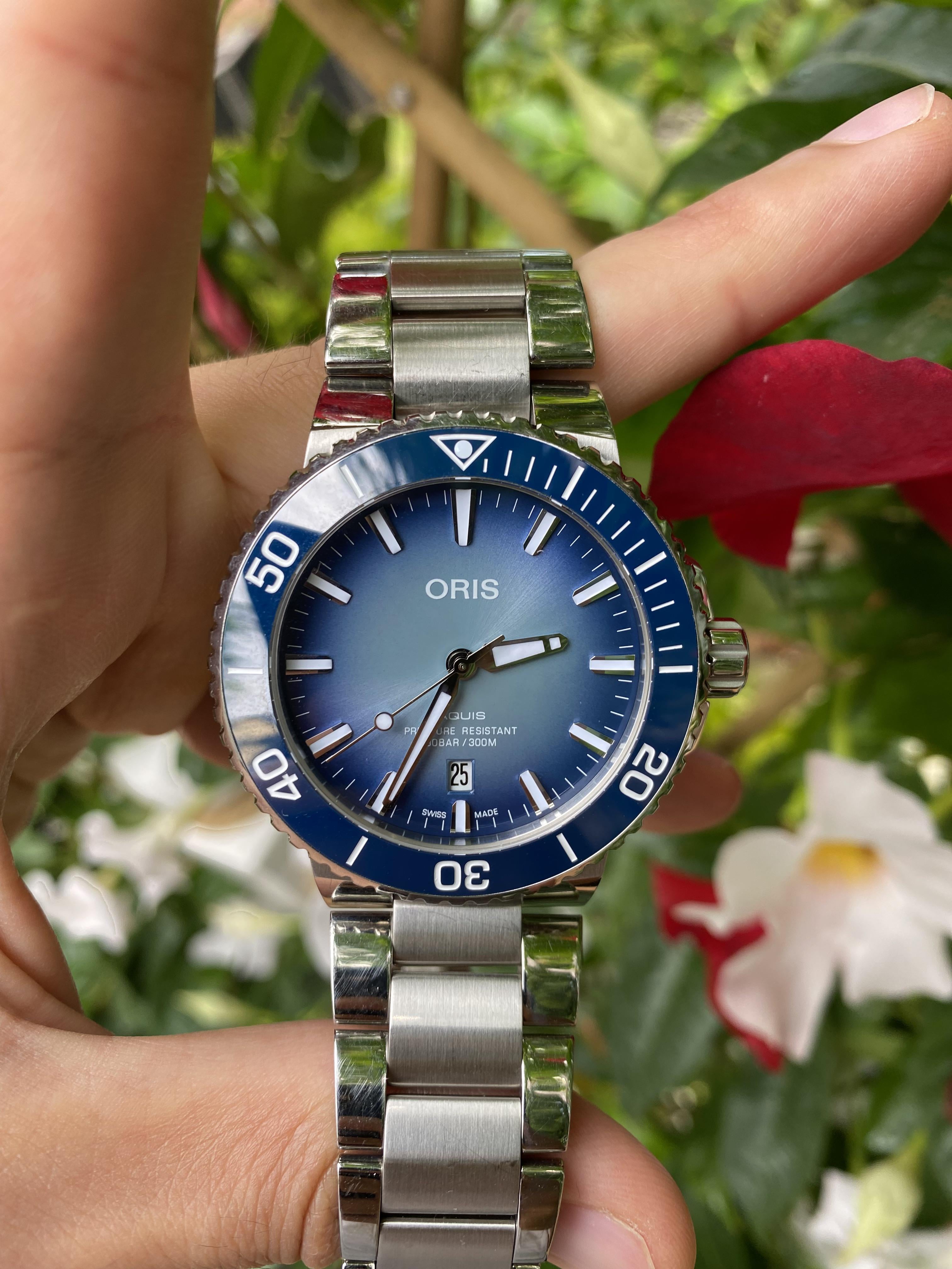 WTS Oris Aquis Lake Baikal Limited Edition WatchCharts