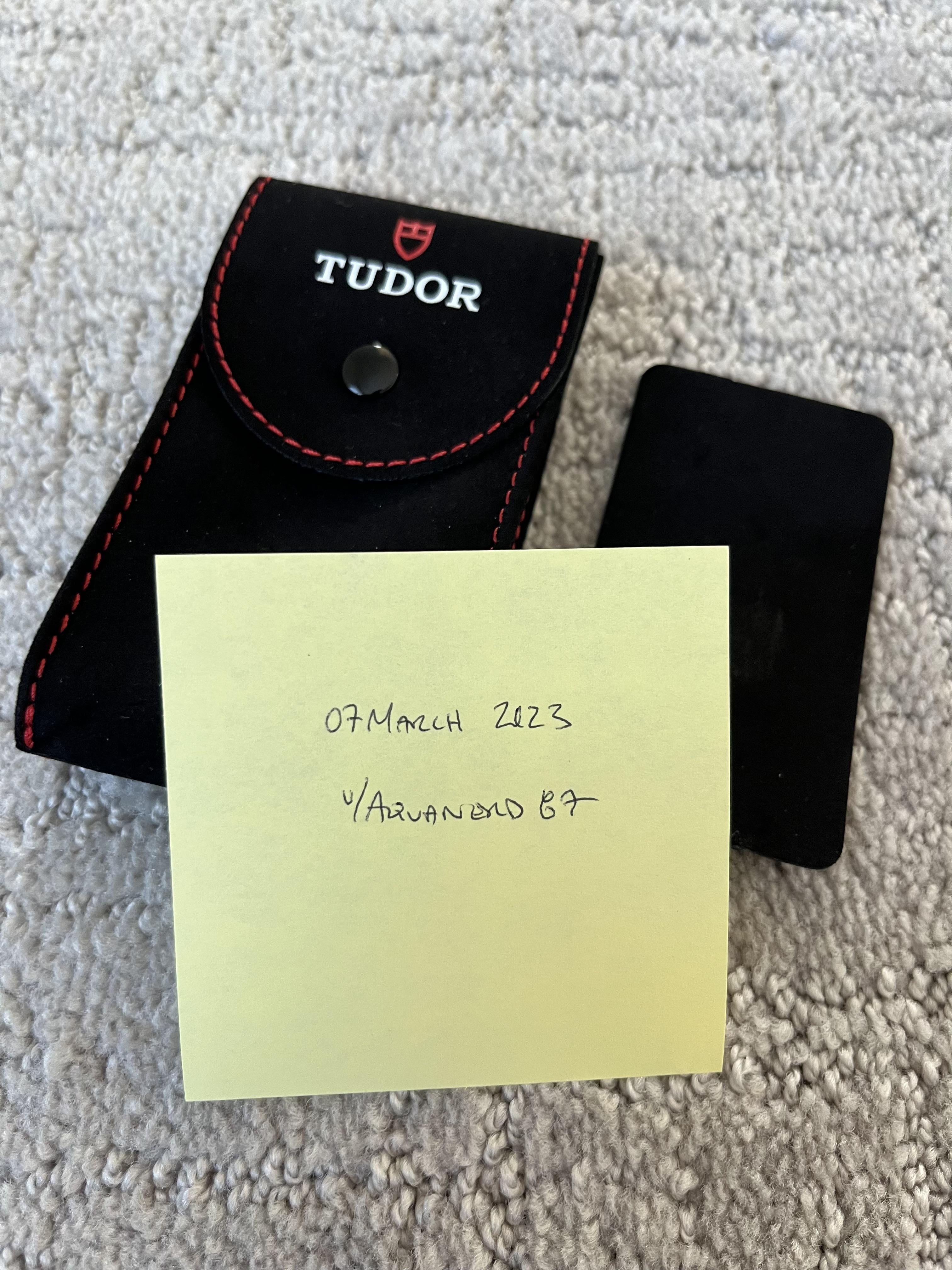 Tudor travel online pouch