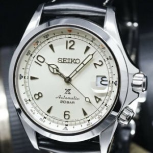 Seiko Alpinist Prospex Beige Men's Watch - SBDC089 | WatchCharts