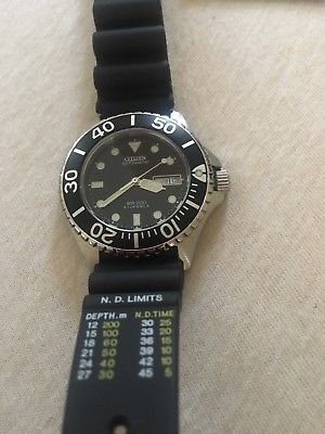 citizen dolphin diver