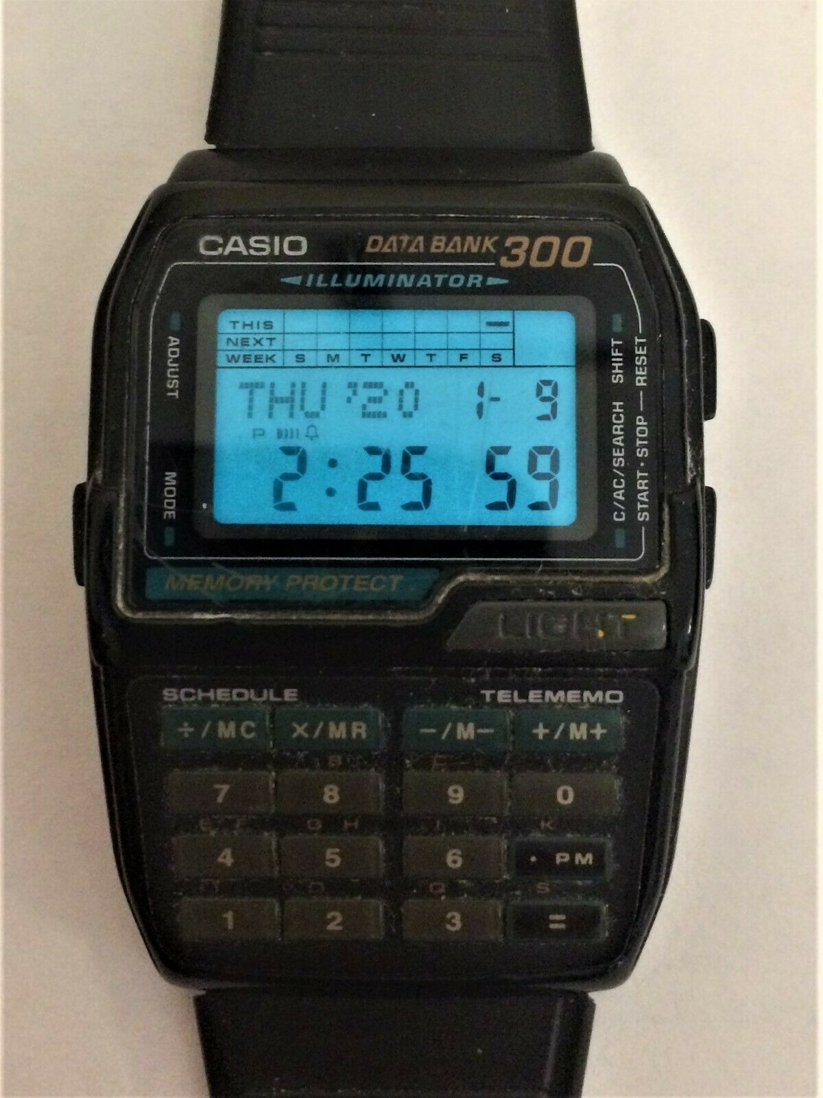 casio databank 300