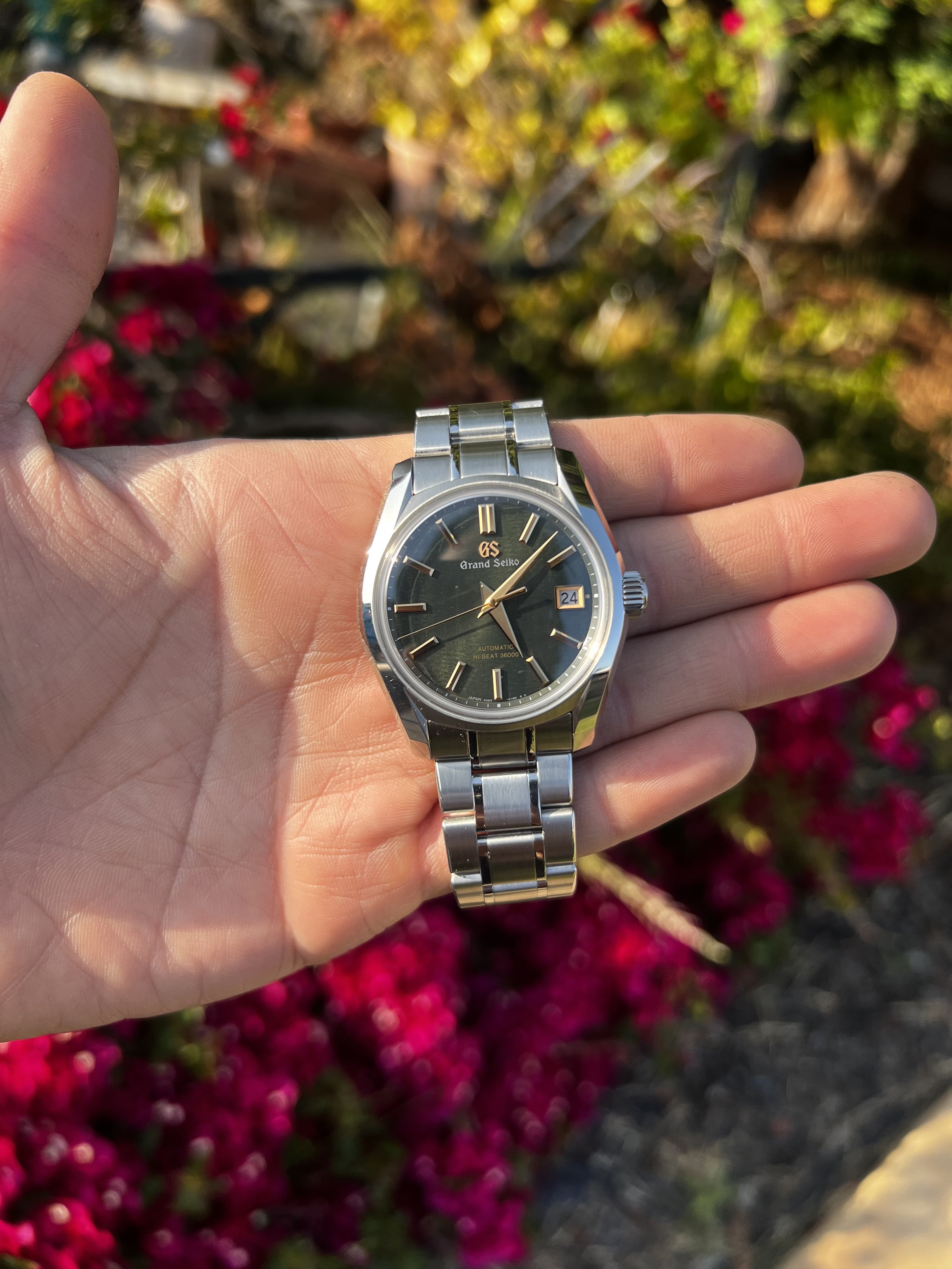 4 500 USD FSOT Grand Seiko RIKKA Summer SBGH271G Full Set