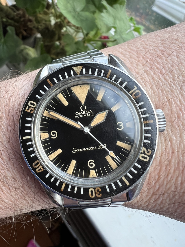 Omega seamaster 2025 big triangle