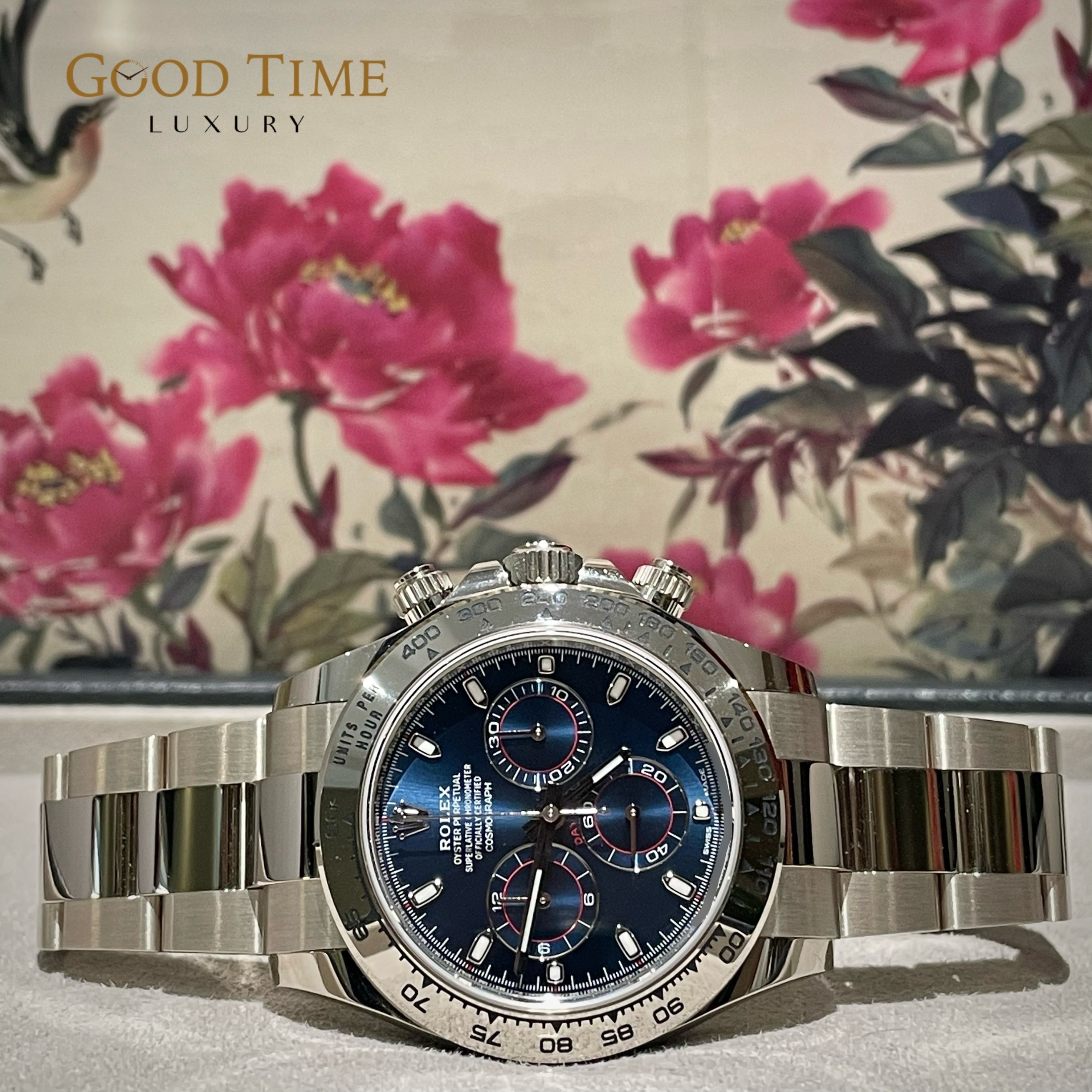 Rolex daytona cheap 116509 review