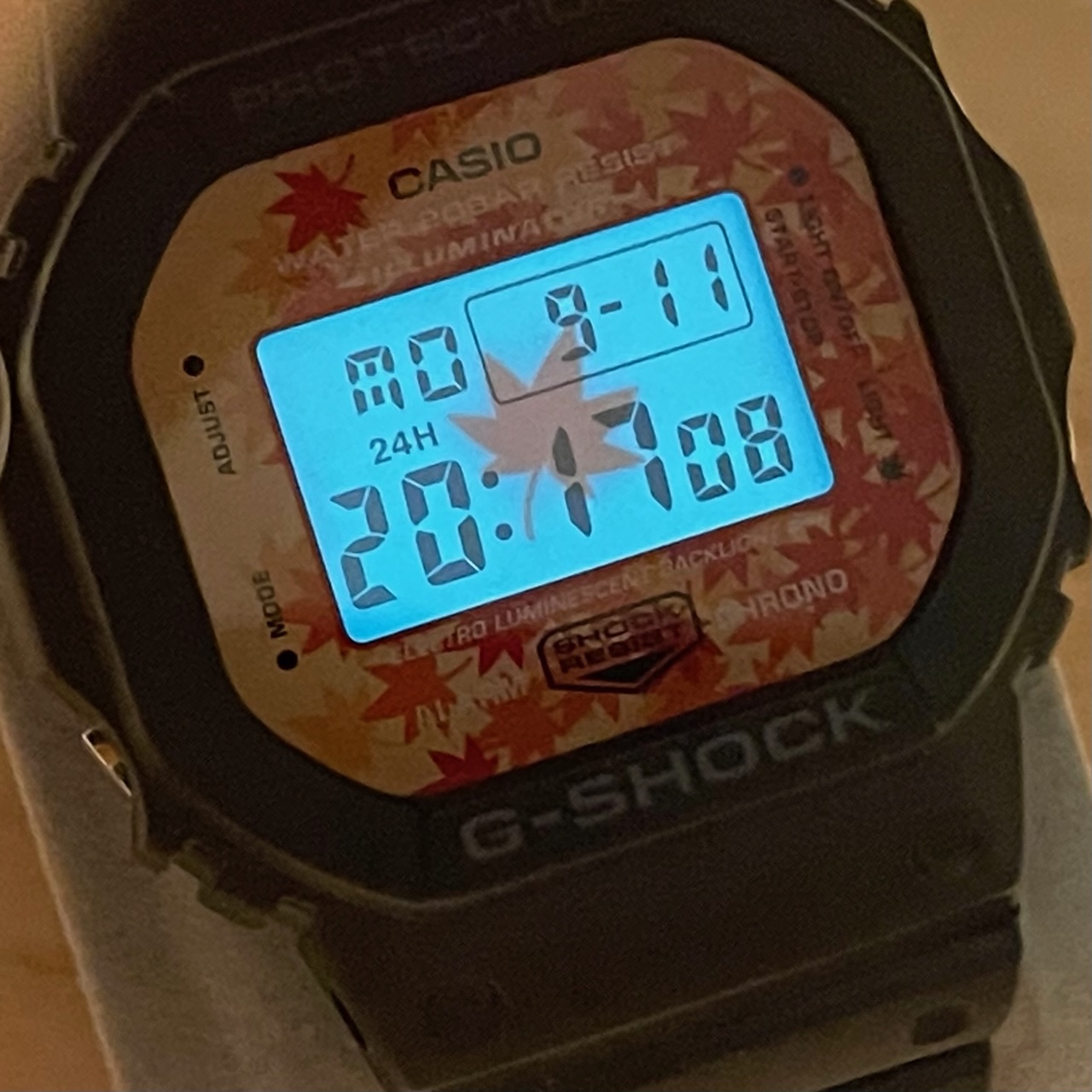 WTS] Casio G-Shock DW-5600TAL-1JR Kyo Momiji Autumn Leaves