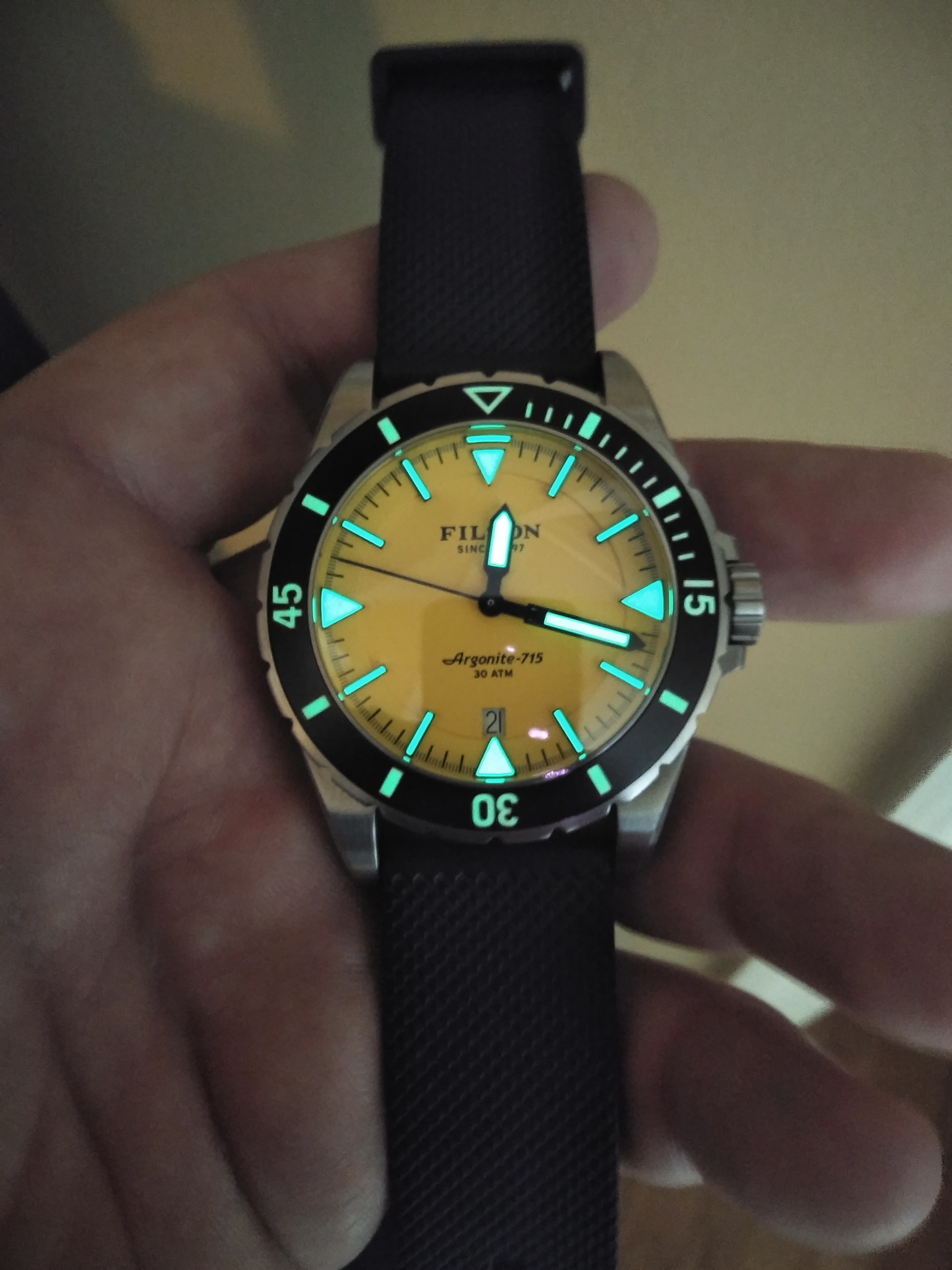 Filson on sale dive watch