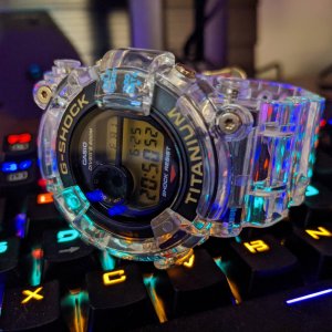 frogman dw 8201