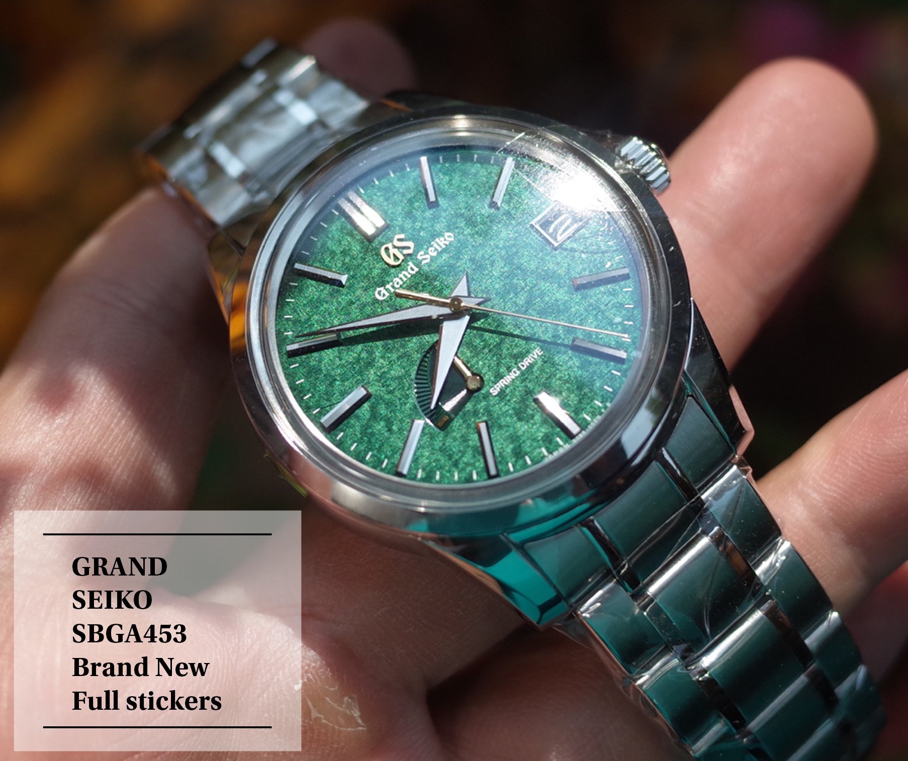 5 500 USD Brand New SBGA453 Green dial Limited 500pcs