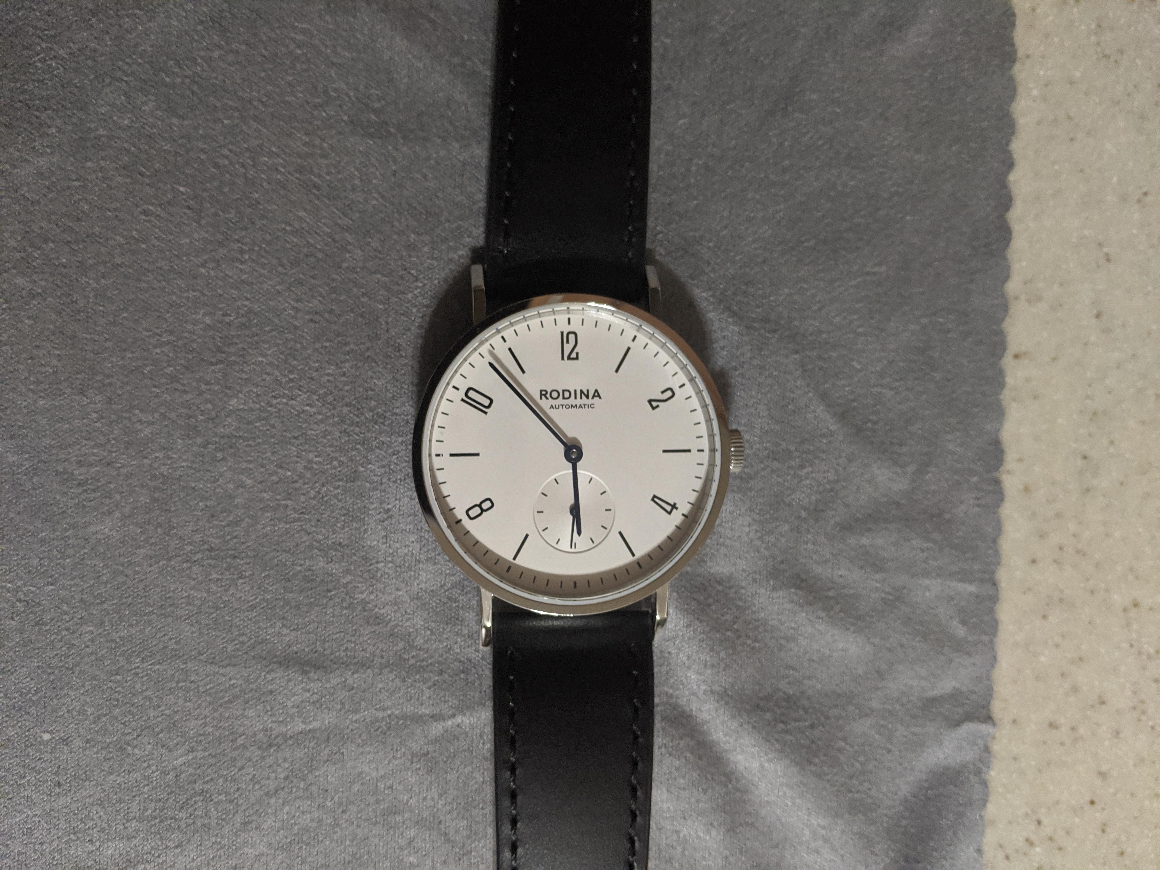 Recommendation] Brand new Rodina. What watch strap should I get? : r/Watches