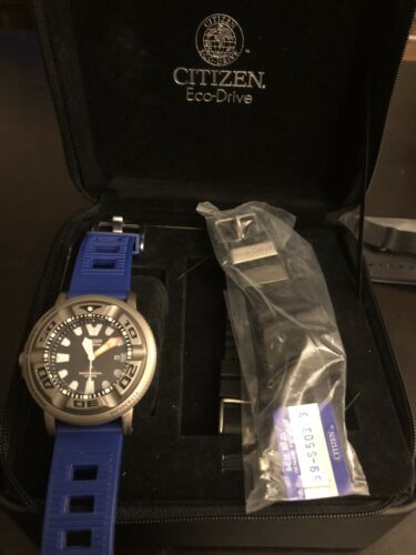 citizen professional diver 300m titanium