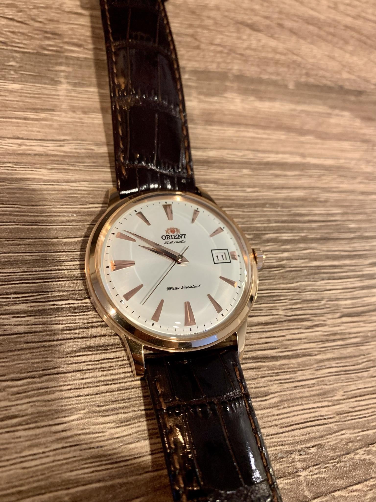 Orient bambino outlet rose gold