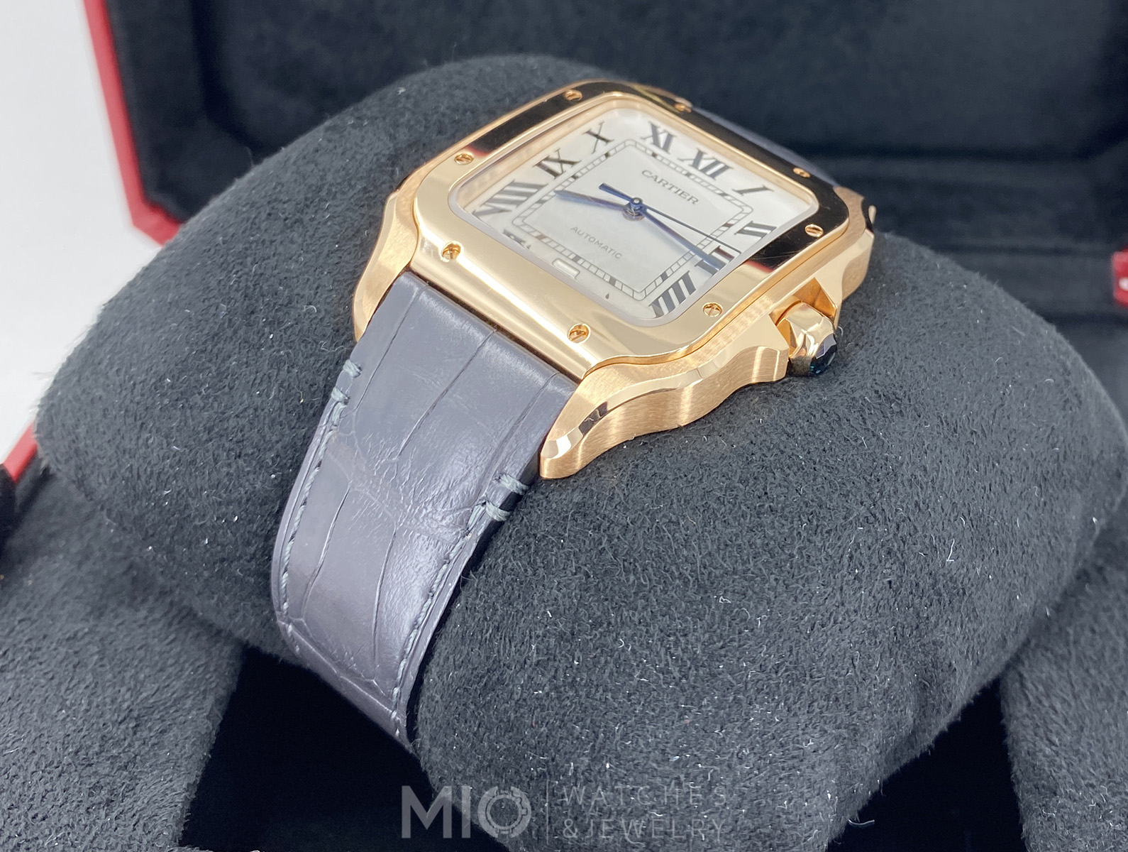 wgsa0019 cartier