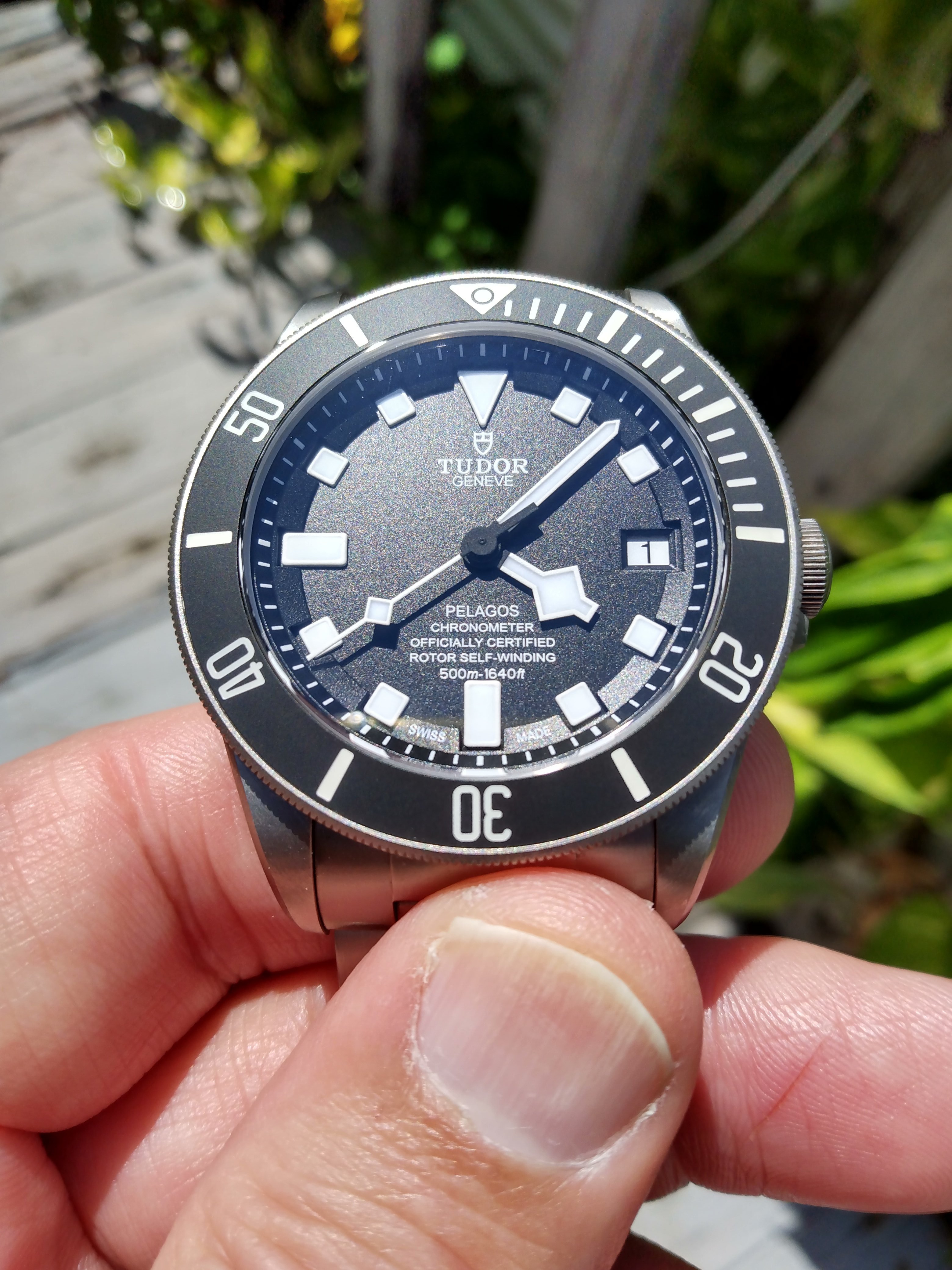 Fake tudor outlet pelagos