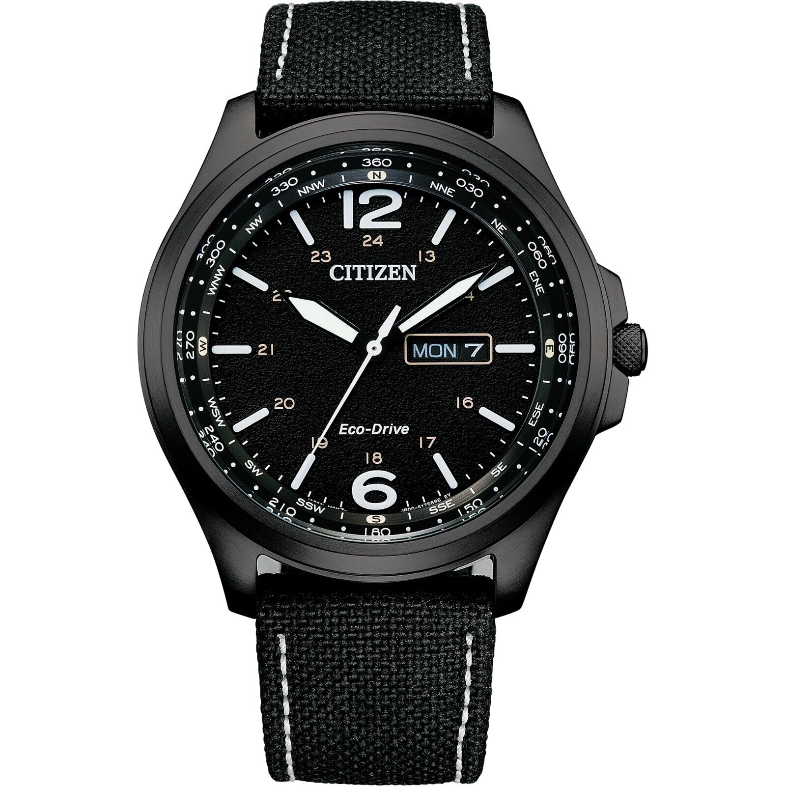 Citizen eco 2024 drive compass