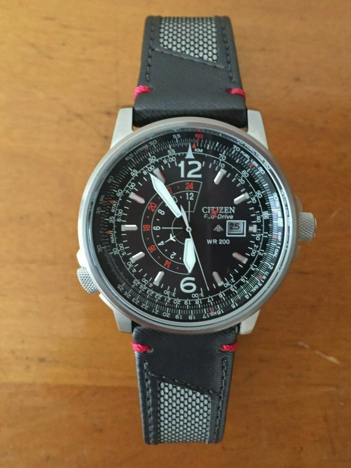 Citizen Promaster Eco-Drive Nighthawk WR200 Watch B877-S015979