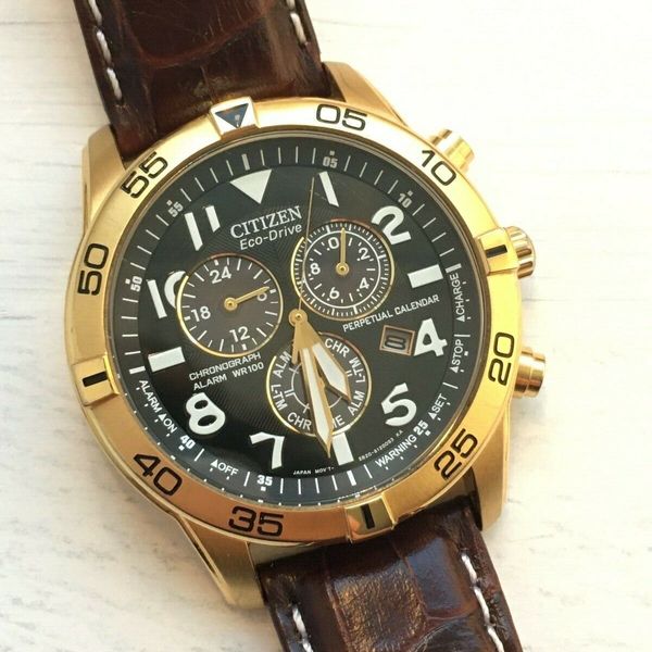 CITIZEN ECODRIVE Perpetual Calendar Chronograph Watch E820S082749