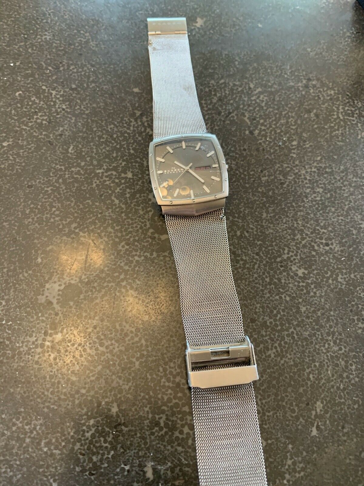 Skagen 396lttm 2024