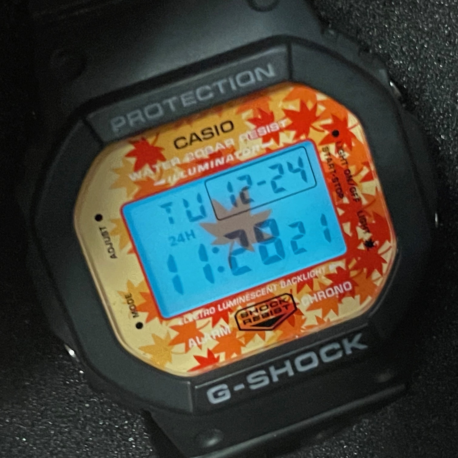 Casio G-Shock (DW560)