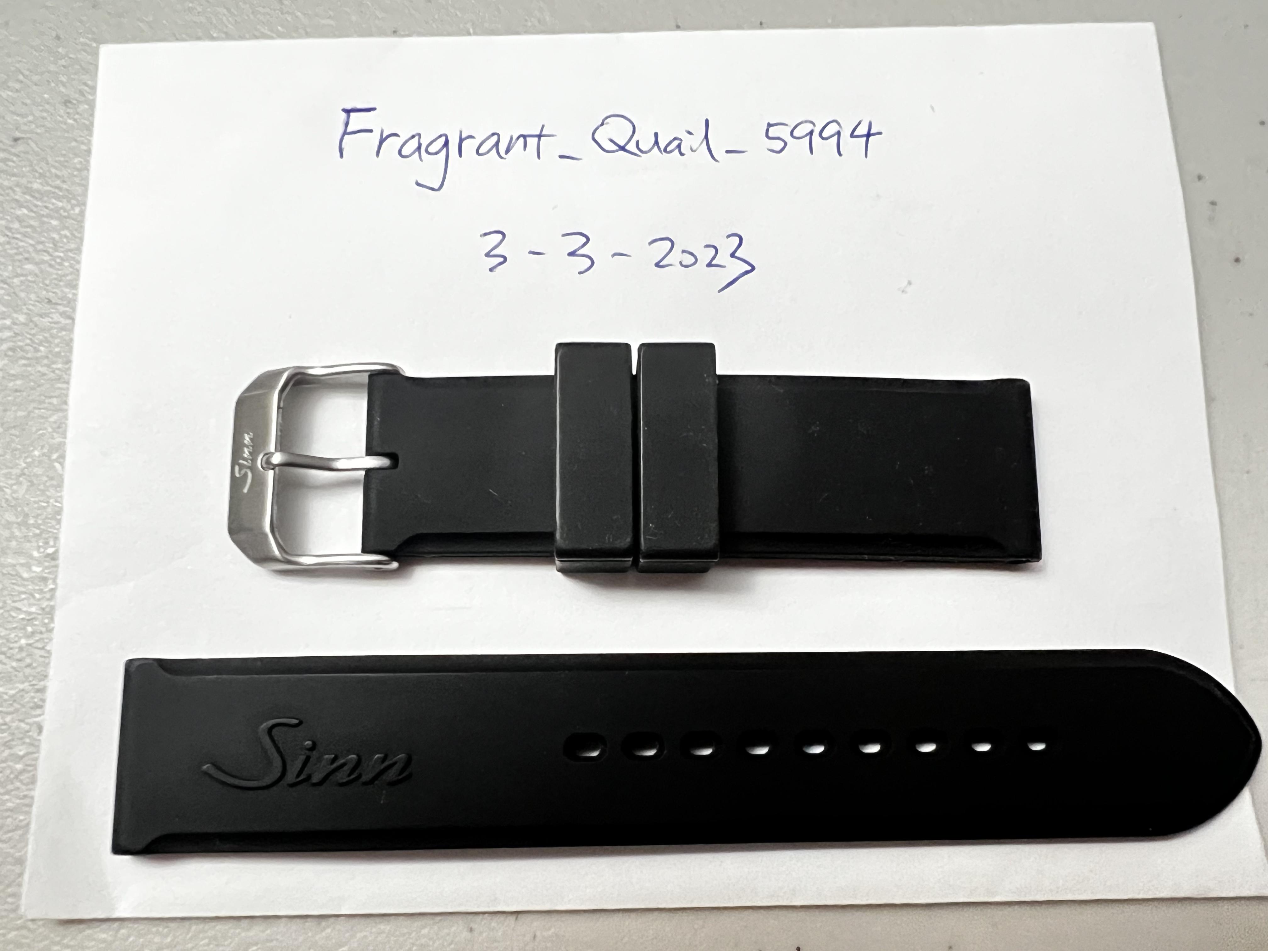 Sinn buckle outlet