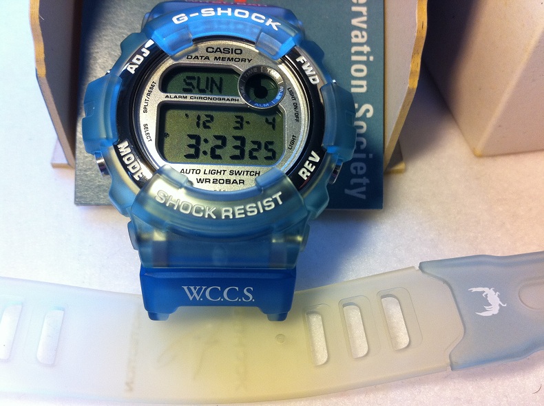 FS Casio G-Shock DW-9600WC-2T WCCS Blue Jelly Resin Screw-Back