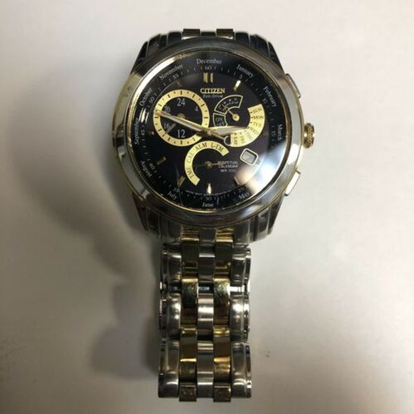 Citizen Eco Drive Perpetual Calendar E870S015294 Watch Calibre 8700