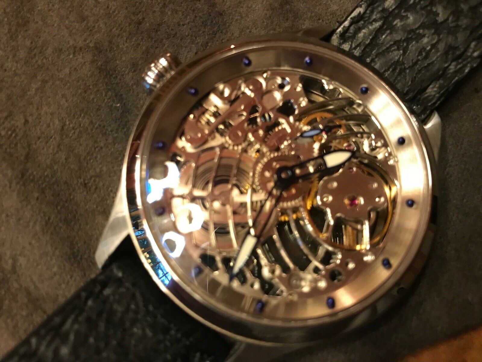 Steinhart skeleton outlet