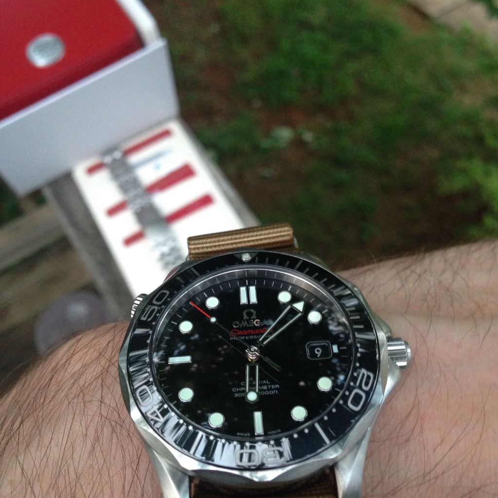 OMEGA オメガ シーマスター プロフェッショナル 1610⁄930