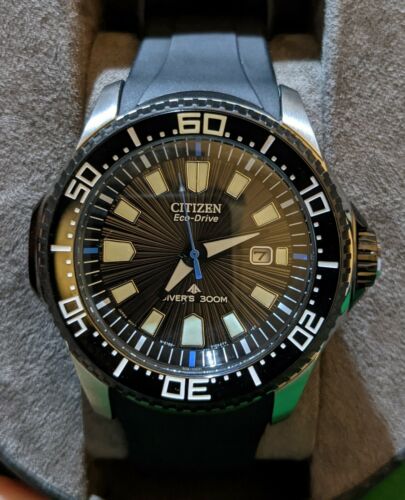 Citizen Eco Drive Promaster Dive Watch 300m BN0085-01E | WatchCharts