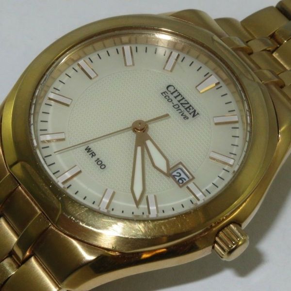 Citizen ECODRIVE WR100 Watch Stainless Steel/Gold Plated E111S109120