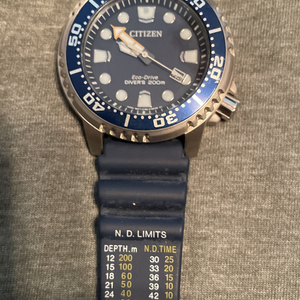 Used] CITIZEN PRO MASTER ECO-Drive Altichron Date J280-T019773