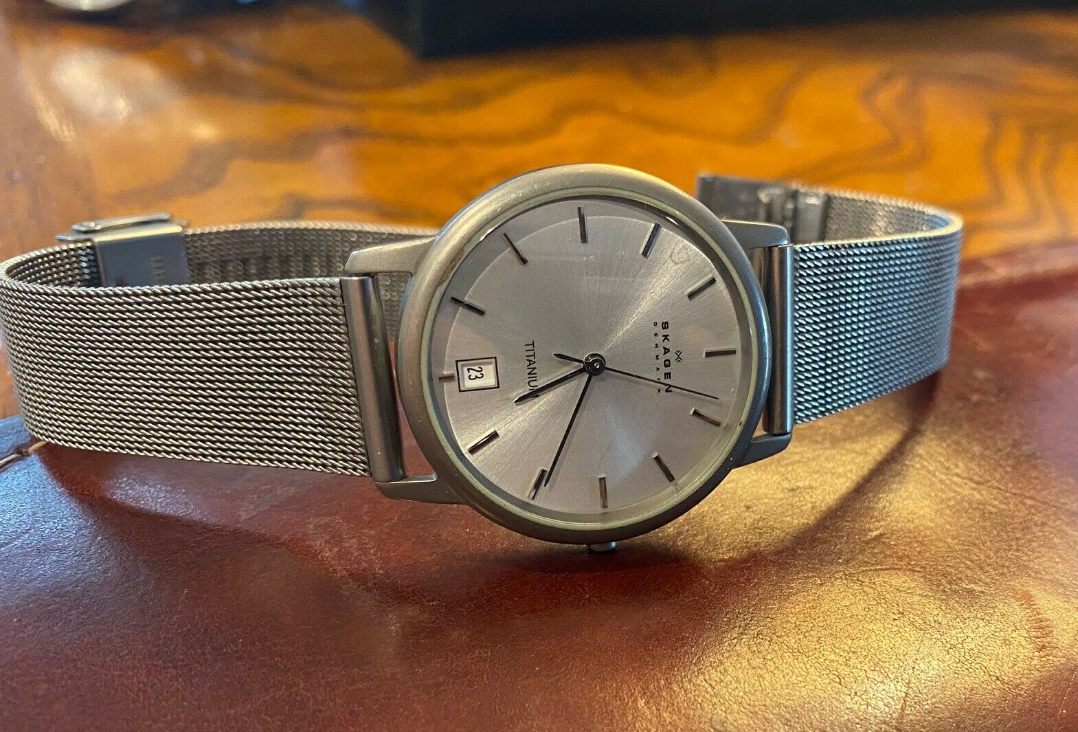 Men s 35mm Titanium Skagen Denmark Watch Date 170LTTW